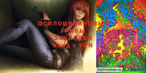 стафф Алзамай