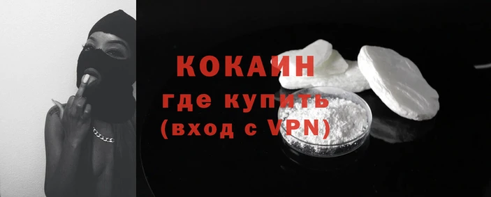 стафф Алзамай