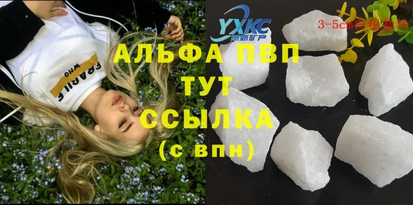 стафф Алзамай