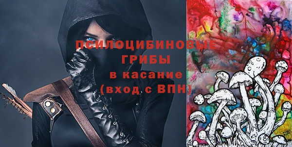 стафф Алзамай