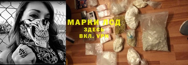 стафф Алзамай