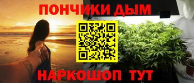 индика Владимир