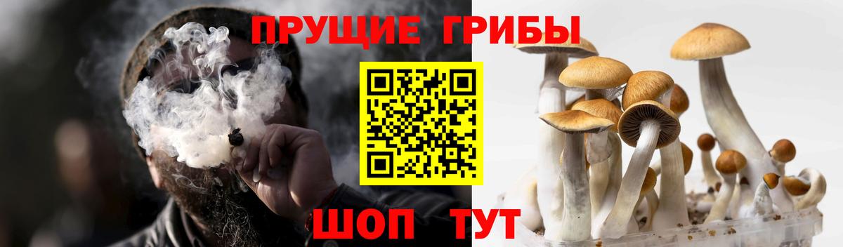 Псилоцибиновые грибы мицелий  где купить наркотик  Белебей  Вход с VPN 