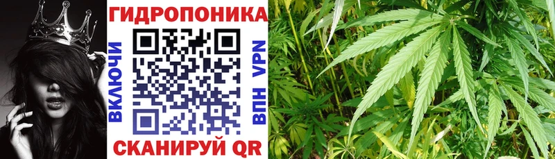 закладки  Белебей  Шишки марихуана тримм 